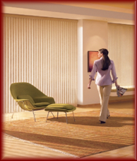 Vertikální žaluzie